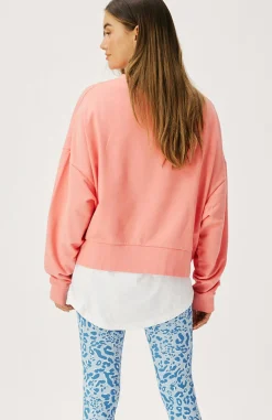 Women Cartel & Willow Cartel & Willow Ivie Sweater - Guava