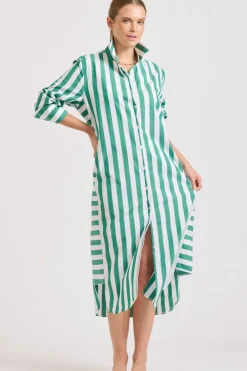 Women Shirty Clothing Shirty Andrea Shirtdress- Green wide stripe