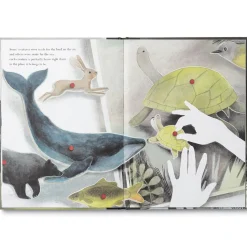 Compendium You Belong Here