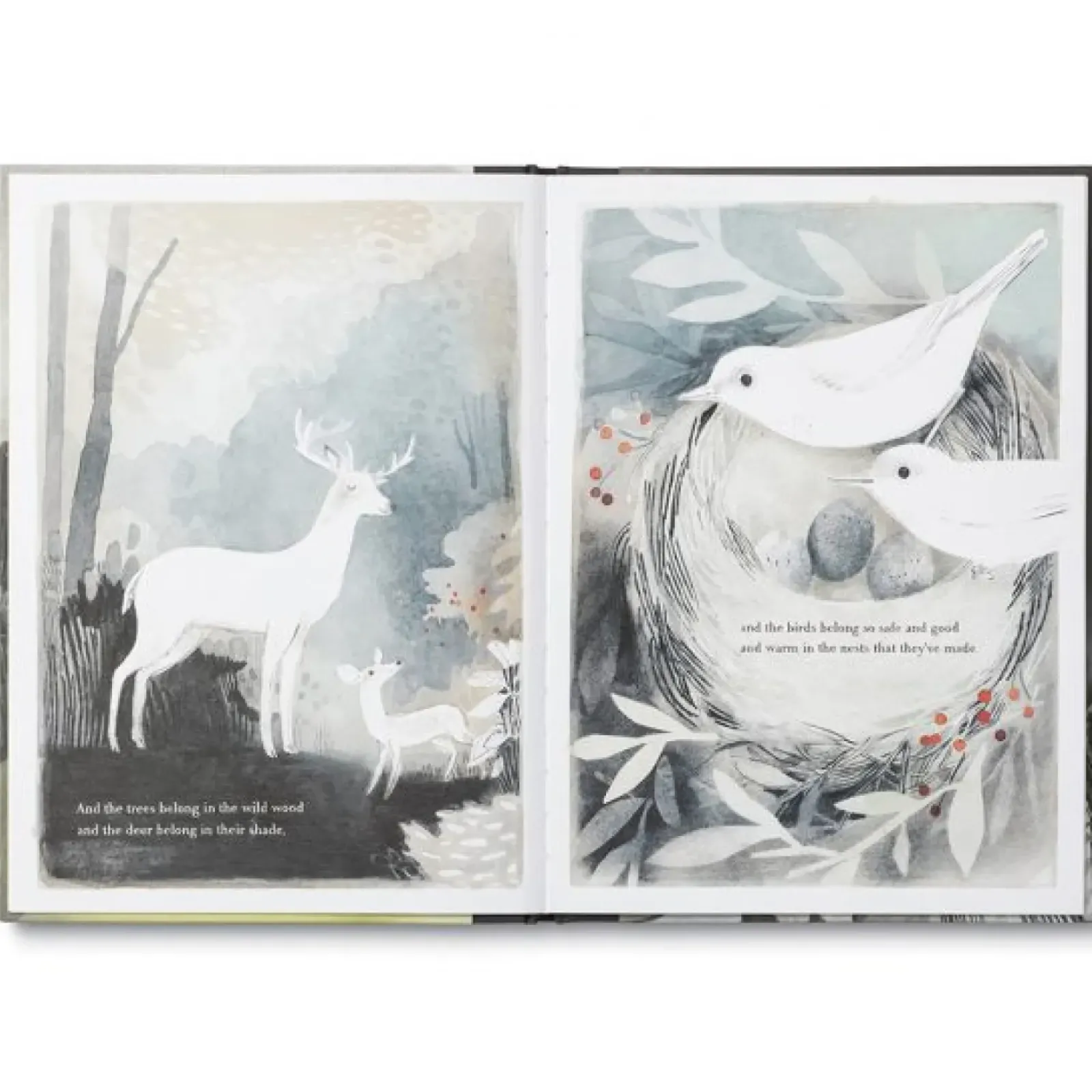 Compendium You Belong Here